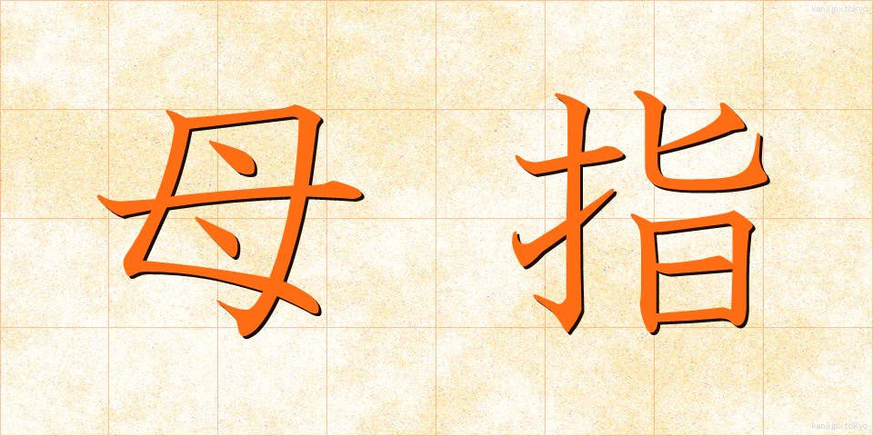 母指 (ぼし)