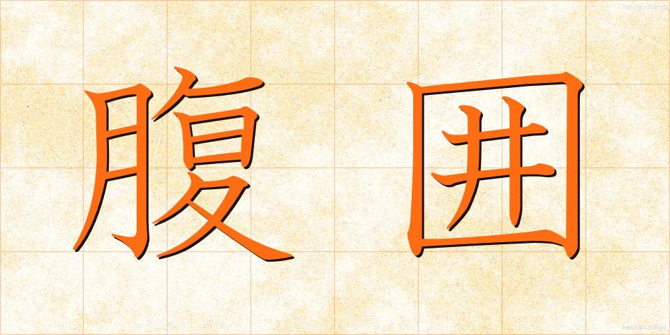 腹囲 (ふくい)