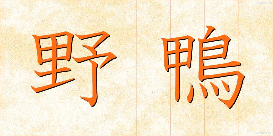野鴨 (のがも)