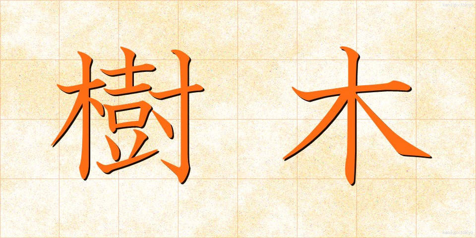 樹木 (じゅもく)