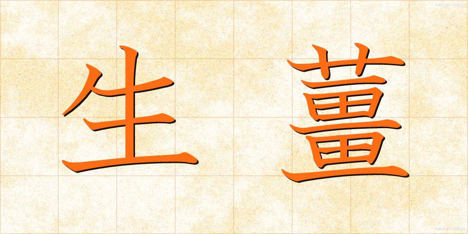 生薑 (しょうが)