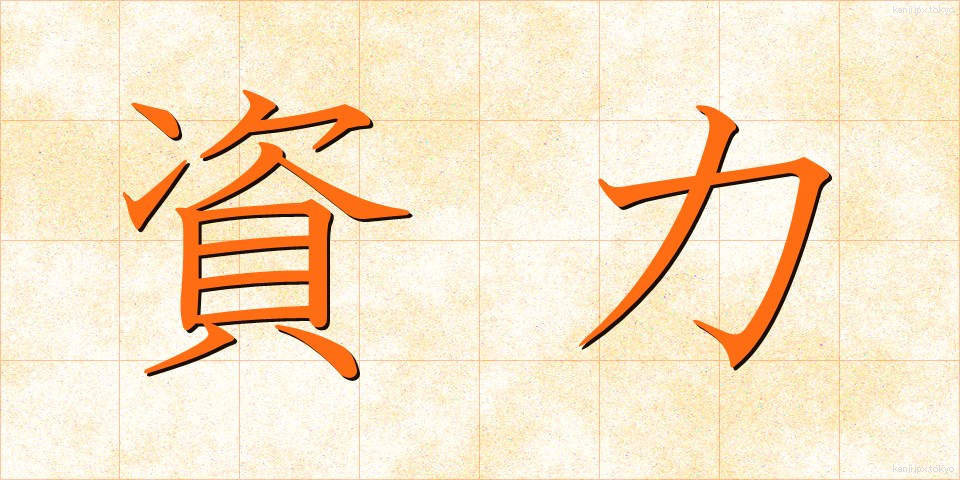 資力 (しりょく)