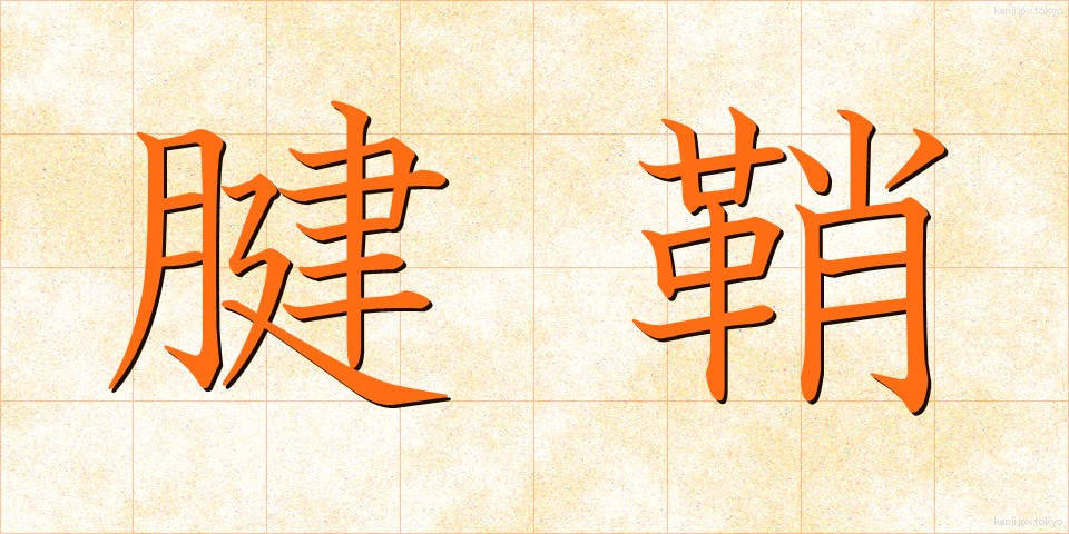 腱鞘 (けんしょう)