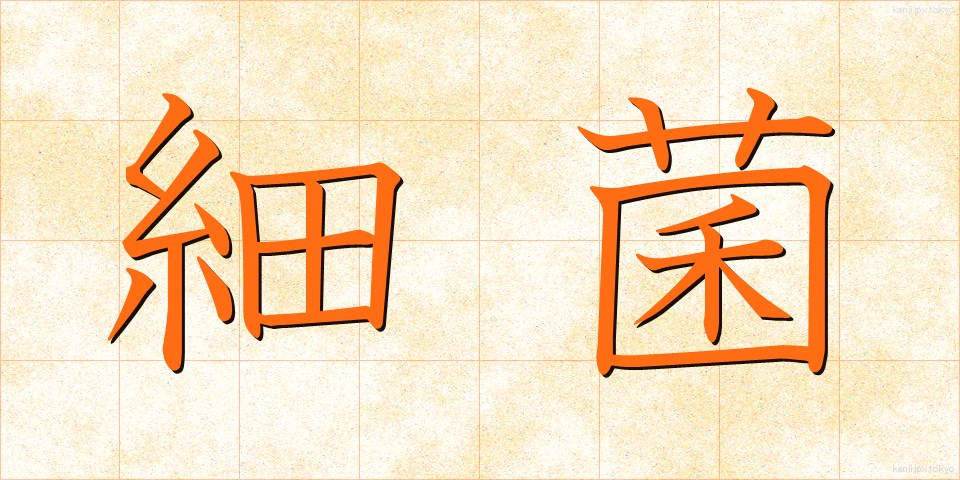 細菌 (さいきん)