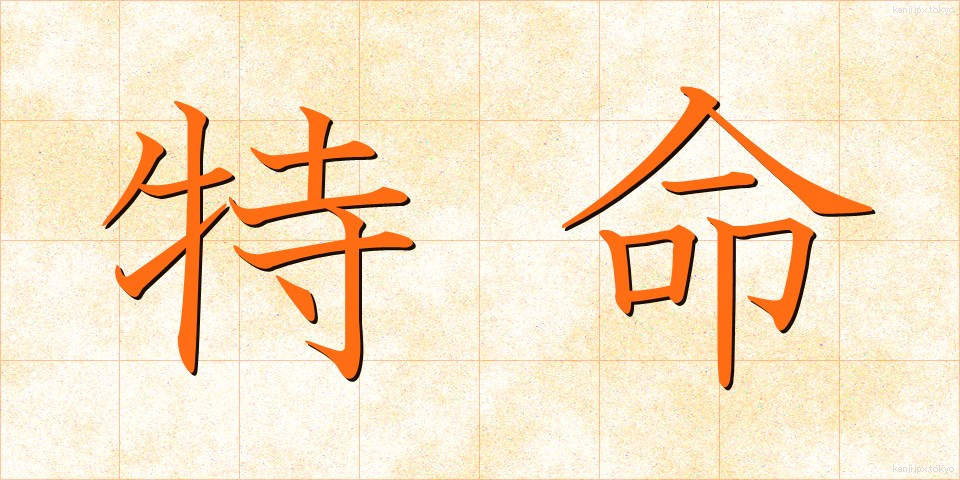 特命 (とくめい)