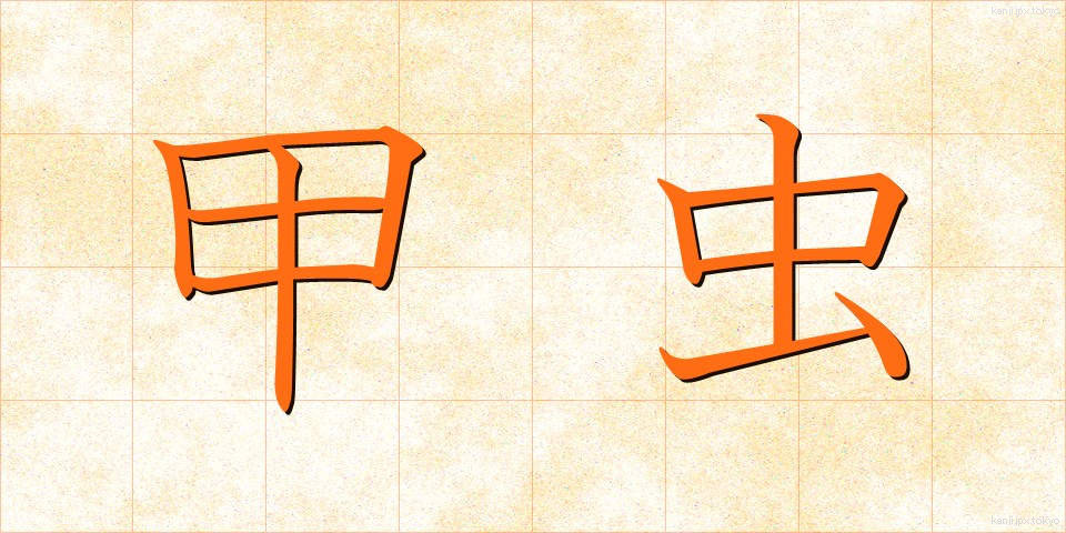 甲虫 (かぶとむし)