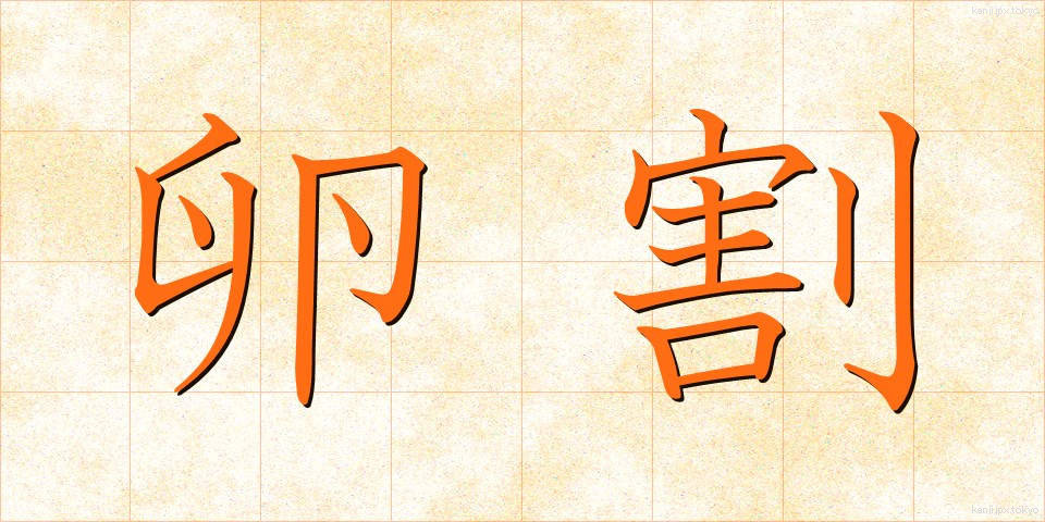 卵割 (らんかつ)