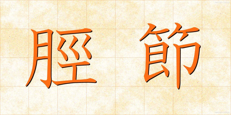 脛節 (けいせつ)