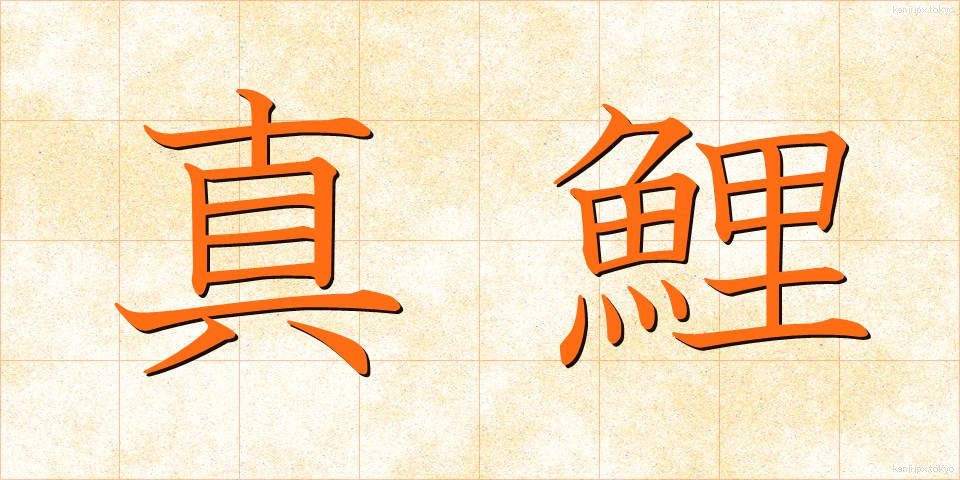 真鯉 (まごい)