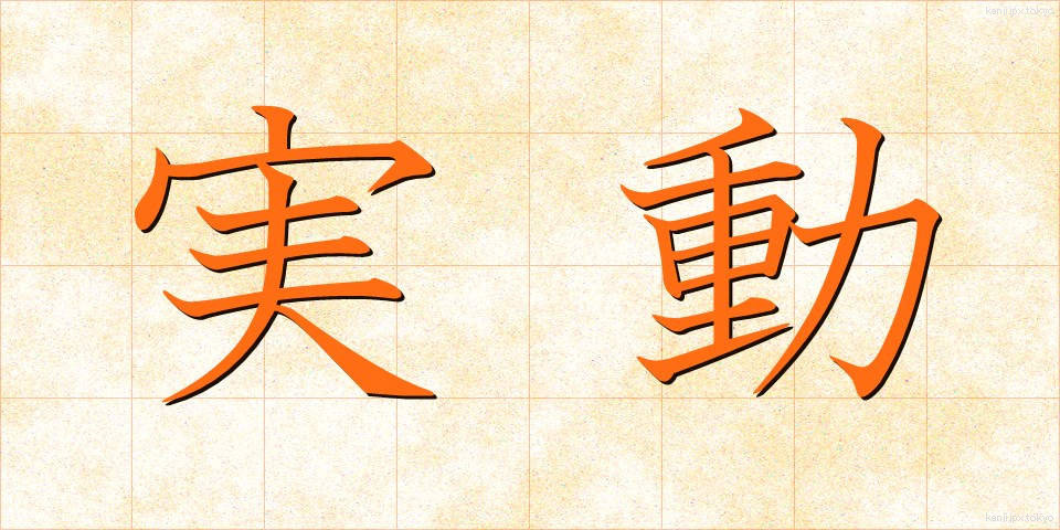 実動 (じつどう)