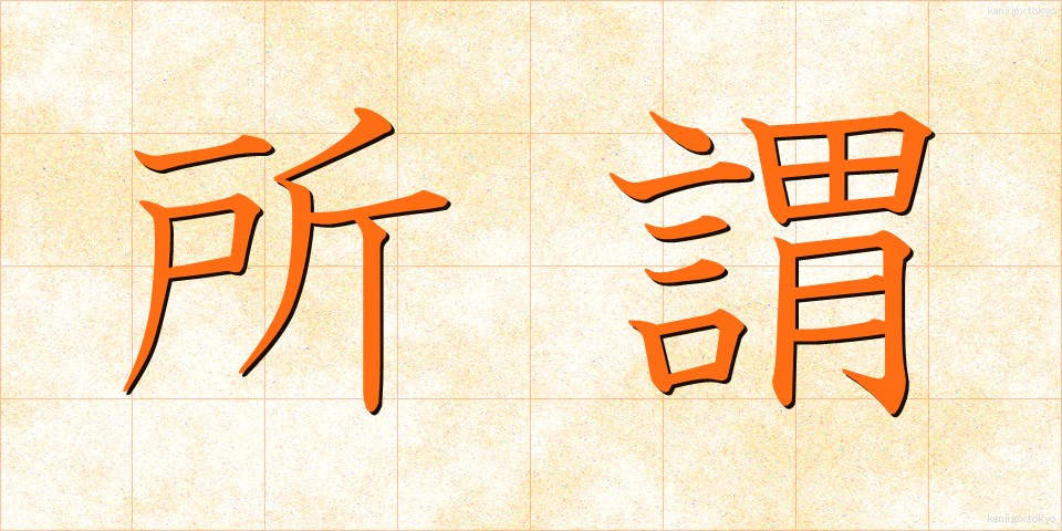 所謂 (いわゆる)