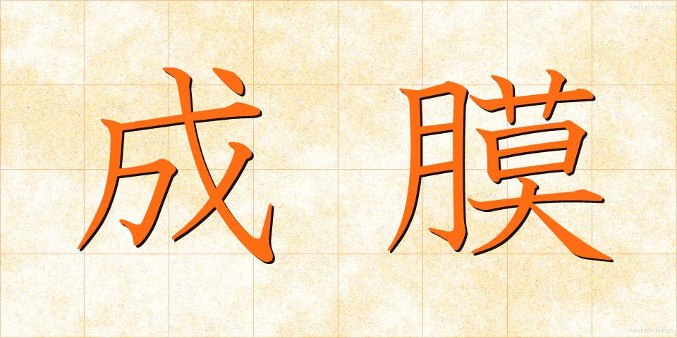 成膜 (せいまく)