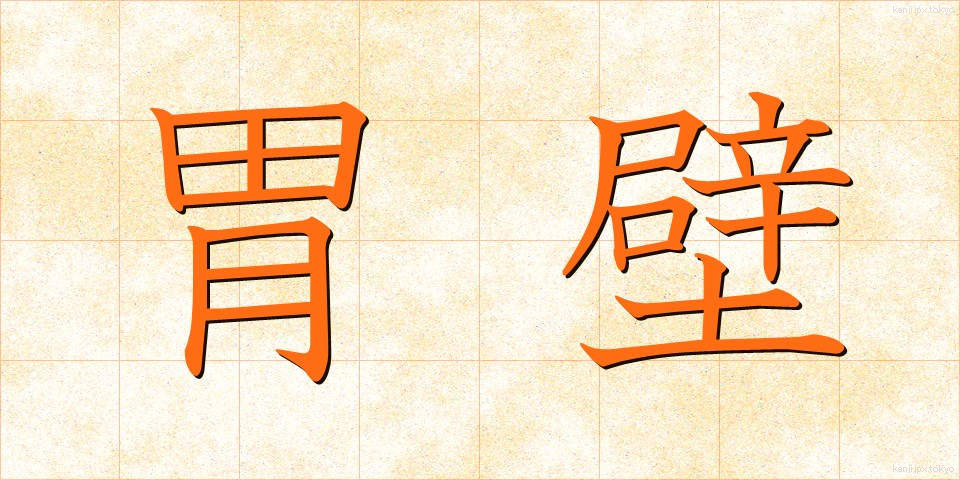 胃壁 (いへき)