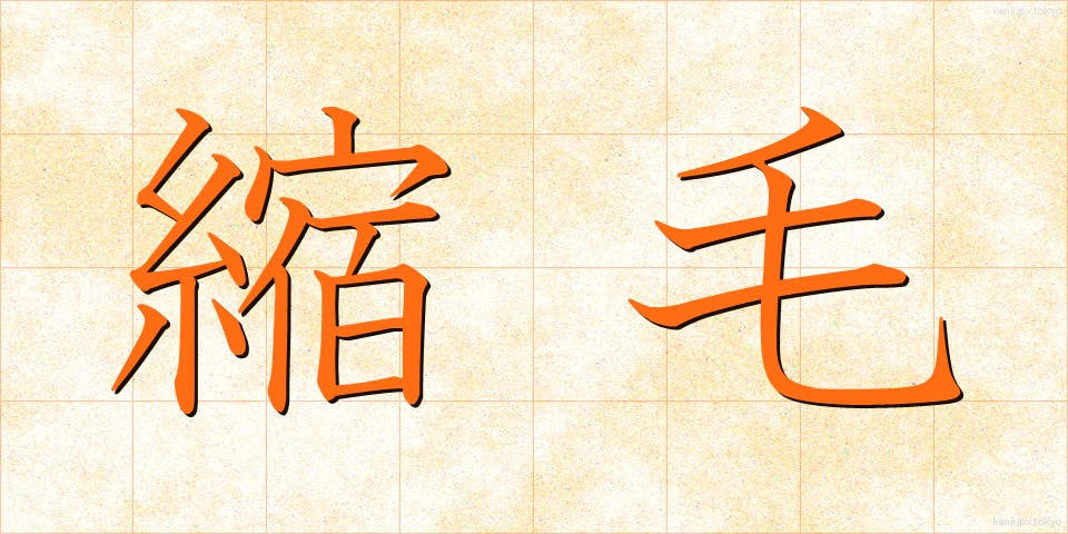 縮毛 (しゅくもう)