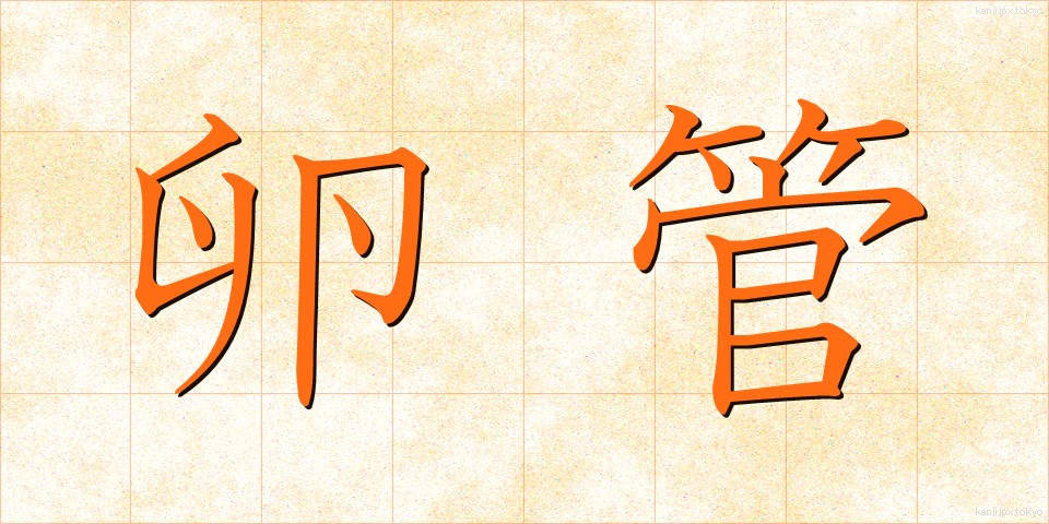 卵管 (らんかん)