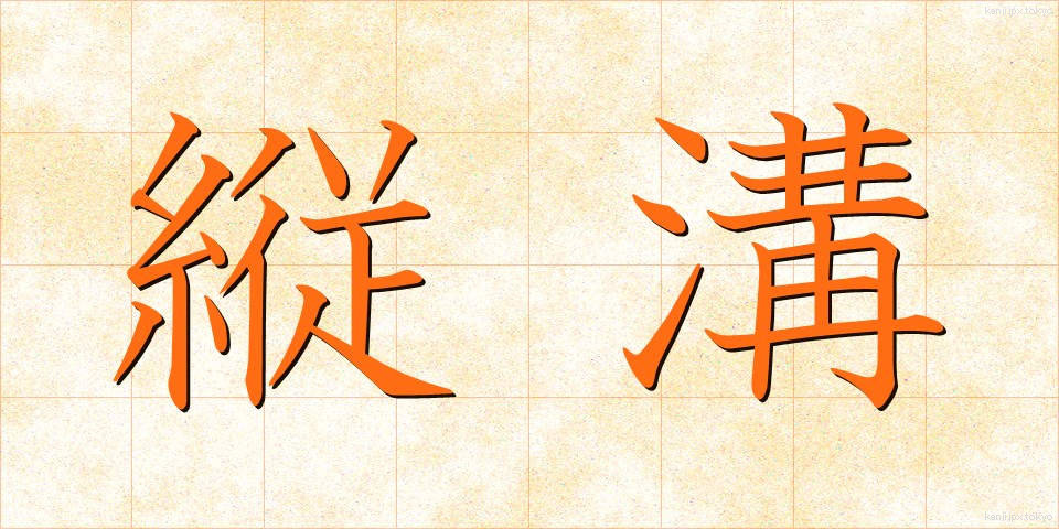 縦溝 (たてみぞ)
