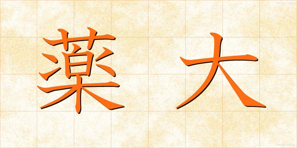 薬大 (やくだい)