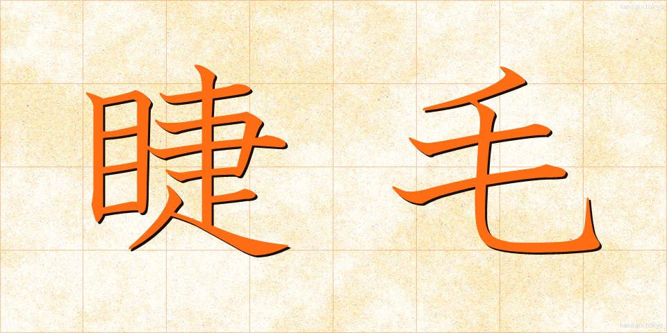 睫毛 (まつげ)