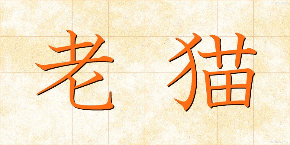 老猫 (ろうびょう)