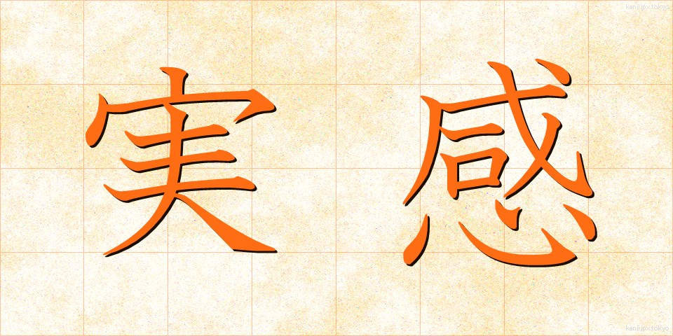 実感 (じっかん)