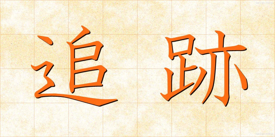 追跡 (ついせき)