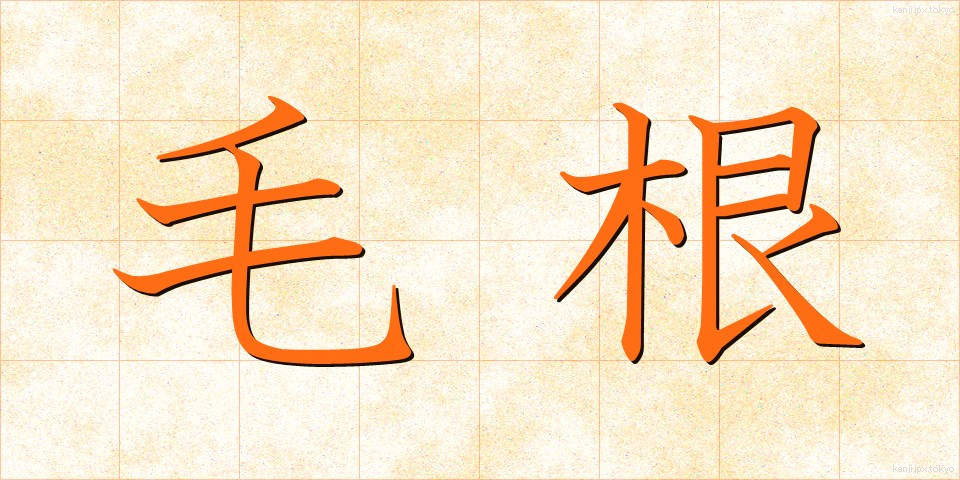 毛根 (もうこん)