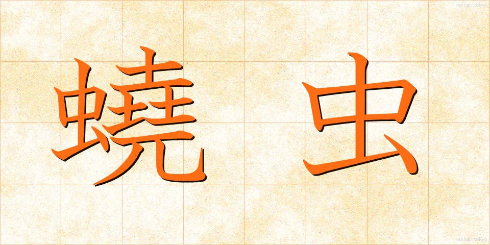 蟯虫 (ぎょうちゅう)