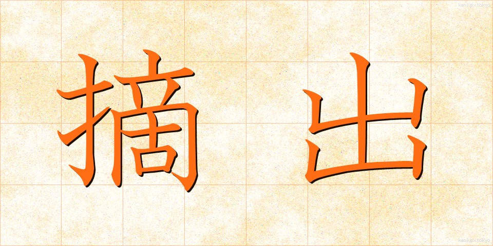 摘出 (てきしゅつ)