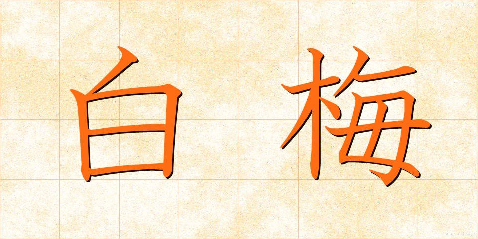 白梅 (しらうめ)