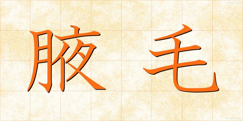 腋毛 (えきもう)