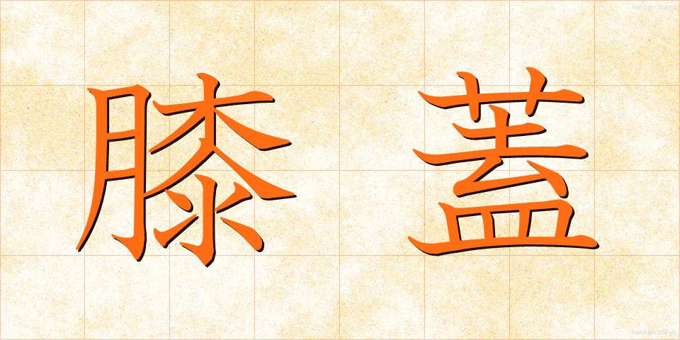 膝蓋 (しつがい)