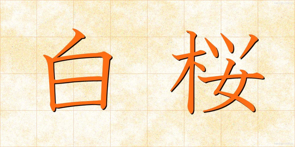 白桜 (しろざくら)