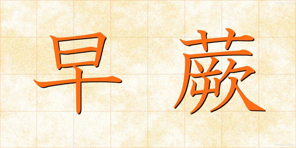 早蕨 (さわらび)