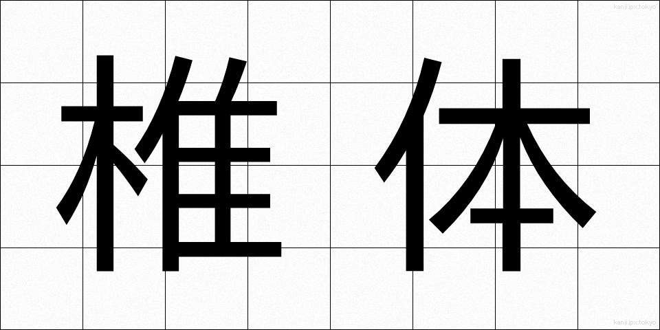 椎体 (しつたい)