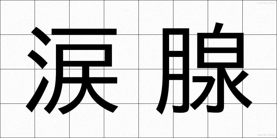 涙腺 (るいせん)