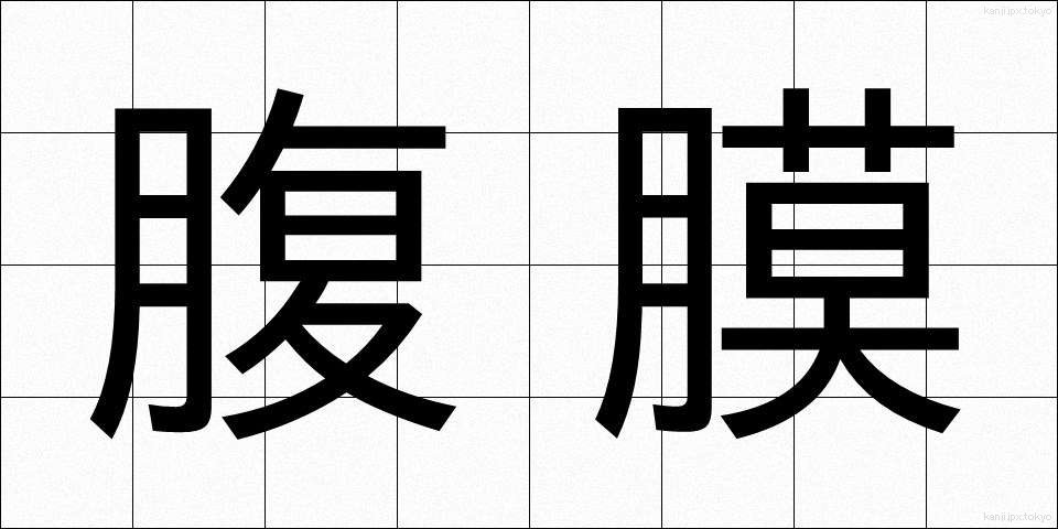 腹膜 (ふくまく)