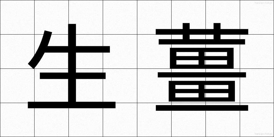 生薑 (しょうが)