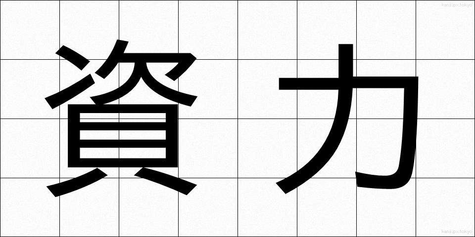資力 (しりょく)
