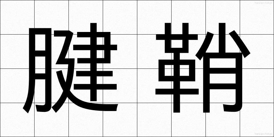 腱鞘 (けんしょう)