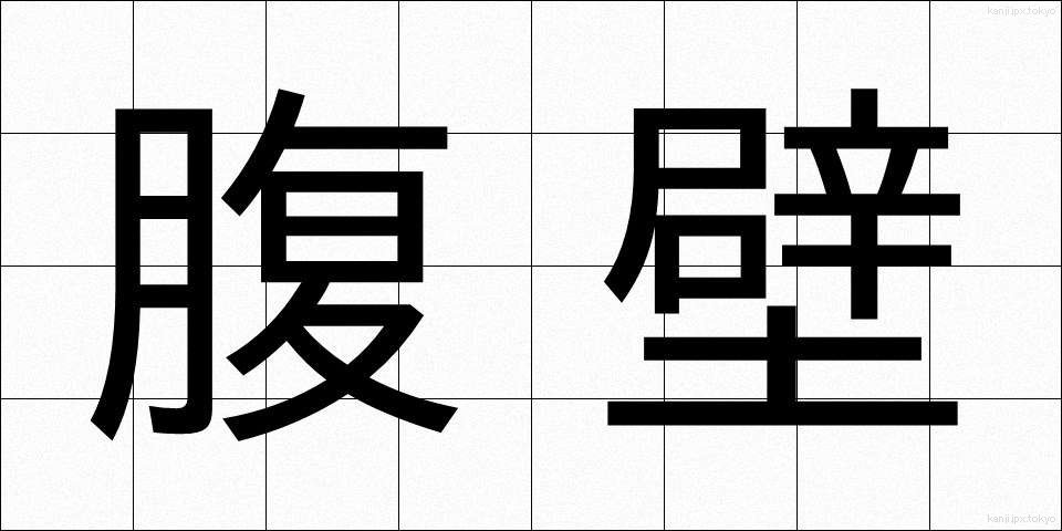 腹壁 (ふくへき)