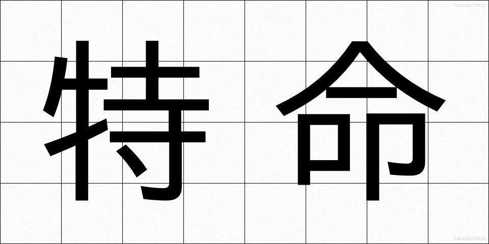 特命 (とくめい)