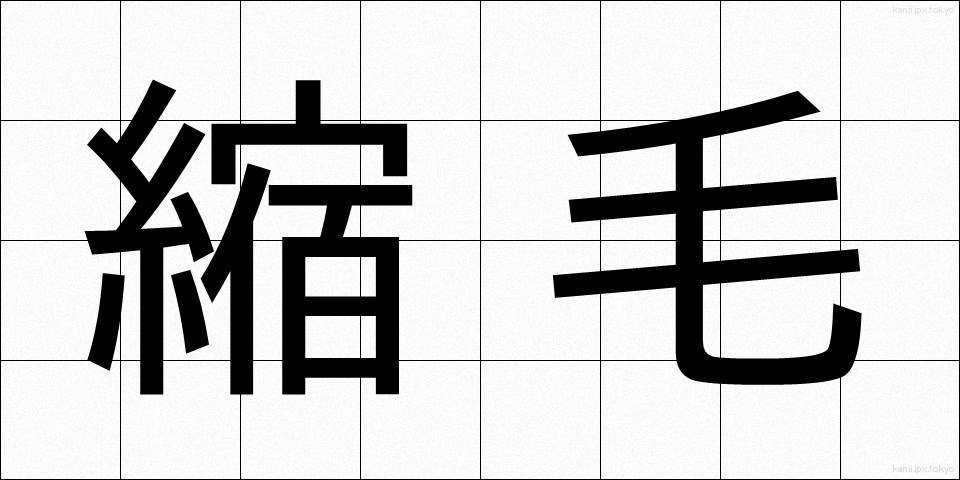 縮毛 (しゅくもう)