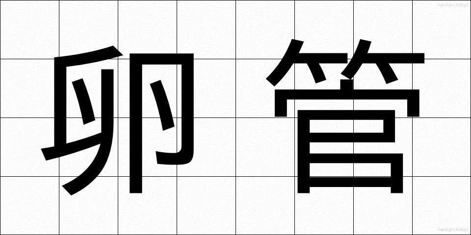 卵管 (らんかん)