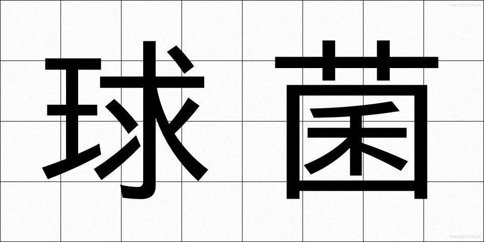 球菌 (きゅうきん)