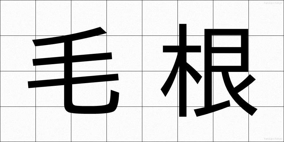 毛根 (もうこん)