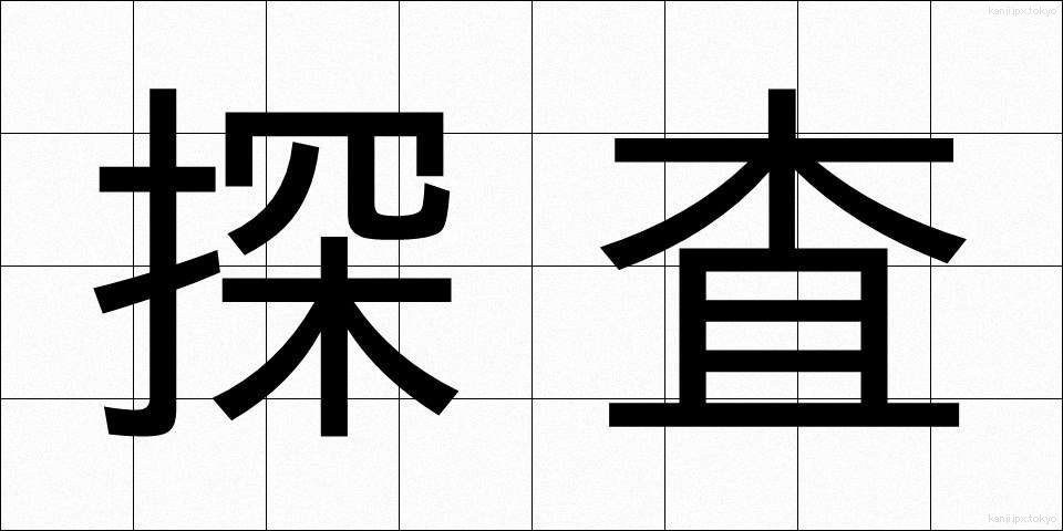 探査 (たんさ)