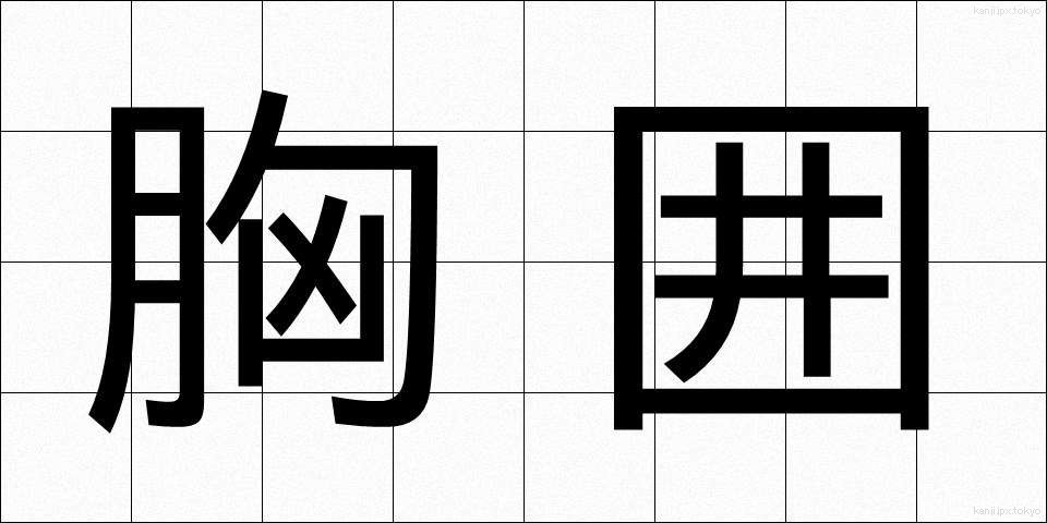 胸囲 (きょうい)
