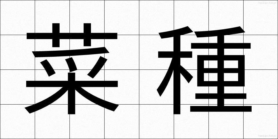 菜種 (なたね)