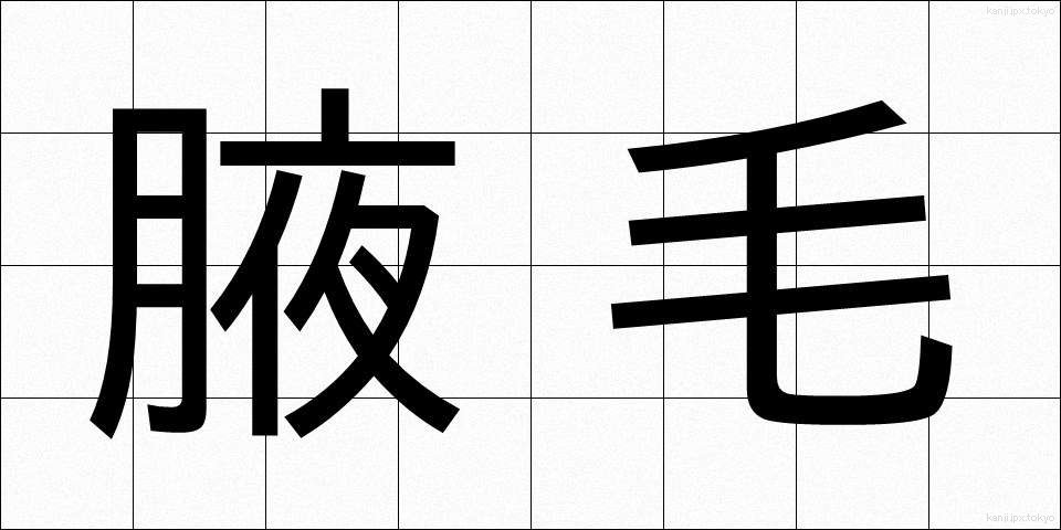 腋毛 (えきもう)