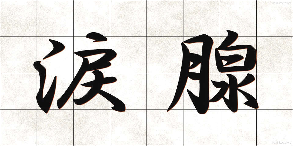 涙腺 (るいせん)